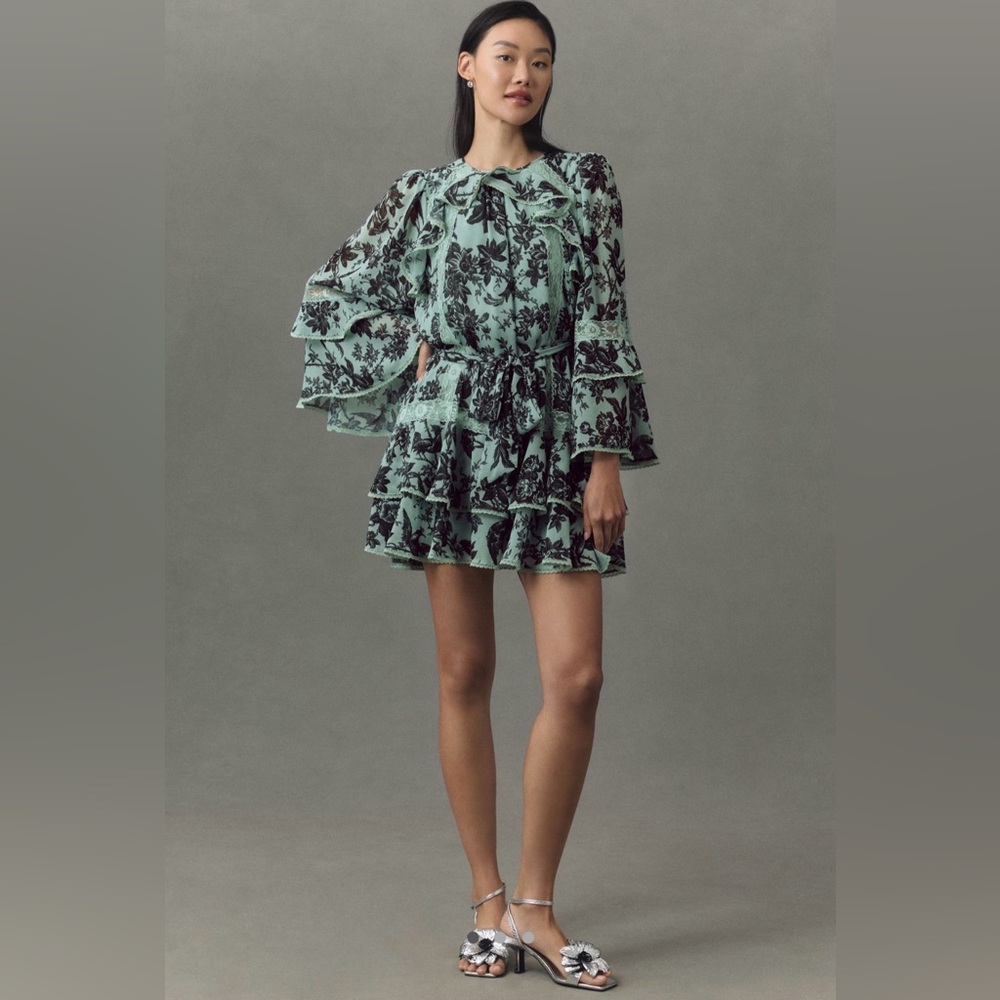 BHLDN Camilla Long Sleeved Chiffon Mini Dress